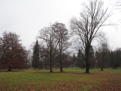 zámecký park