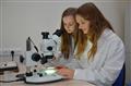 Míša a Leona na pracovišti mikroskopie.