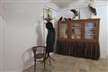 Muzeum Vysočiny Jihlava slaví 125 let svého vzniku