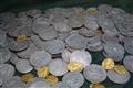 Unikátní poklad - tři sta čtyřicet jedna ryzích zlatých a stříbrných mincí