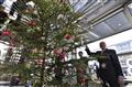 Náměstek Josef Pavlík u vánočního stromu