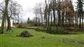Stromy vlivem extrémně silného větru padaly i v zámeckém parku Domova ve Zboží