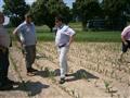 Diskuse nad porostem kukuřice v Želivě