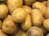 Letošní úroda brambor bude spíše průměrná
