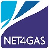 logo n4g