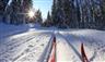 Kraj i pro letošní zimu podpořil úpravu lyžařských běžeckých tras