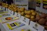 Pěstitelé potvrzují pokles výnosů brambor