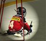 Mladí francouzští hokejisté z partnerského regionu trénují opět na Vysočině