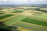 Kraj představil nová pravidla pro návrat půdy zpět k obhospodařování